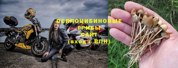 спиды Алзамай