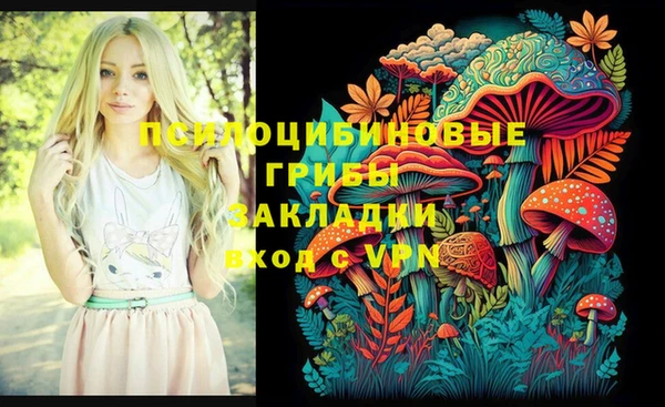 mix Алексин